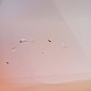 Bosch - WGG244FTSN - Outlet med mindre skönhetsfel