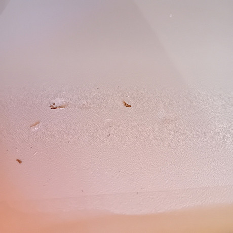 Bosch - WGG244FTSN - Outlet med mindre skönhetsfel