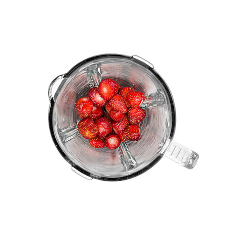 Champion - CHBL310 - Rostfri -  6 bladssystem & 600W kraft