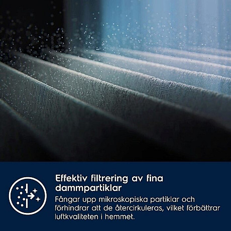 Electrolux - EF162 filter för fint damm