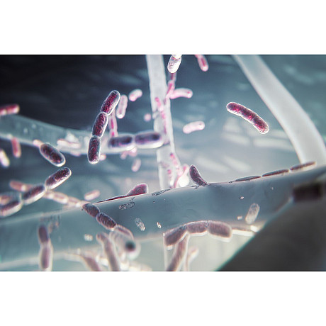 Electrolux - EFFCLN2EU ultrafine particle filter