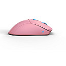 Glorious - Model D Pro Wireless Flamingo, rosa/blå