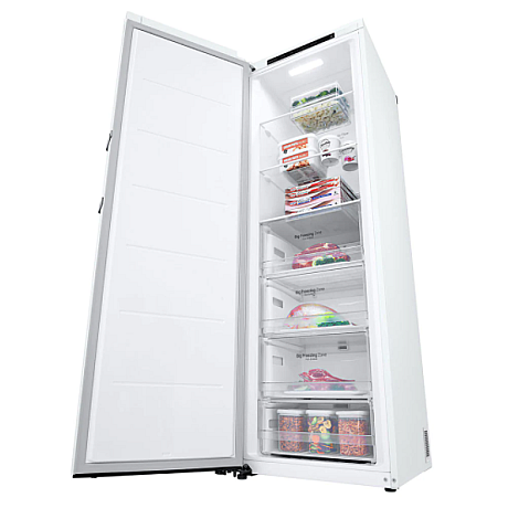 LG - GFT41SWGSZ - Totalt No Frost