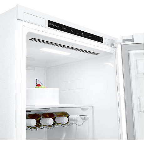 LG - GLT51SWGSZ-GFT41SWGSZ - NoFrost