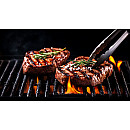 Landmann - Rexon 6.1 - glaslock, sidobrännare Landmann - Rexon 6.1 - glaslock, sidobrännare