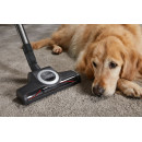 Miele - Blizzard CX1 Cat & Dog