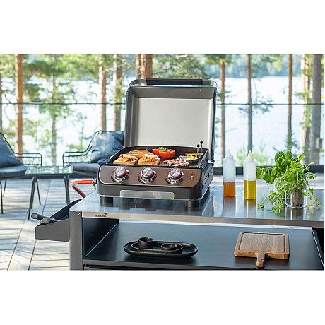 Mustang - Gasolgrill Plate 3