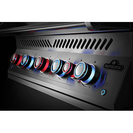 Napoleon -  Inbyggnadsgrill BIG38