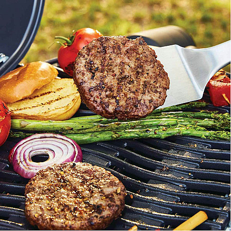 Napoleon - TQ240 - Portabel grill med generös grillyta