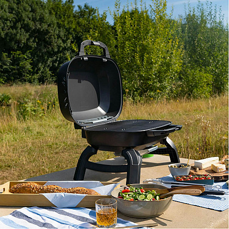 Napoleon - TQ240 - Portabel grill med generös grillyta