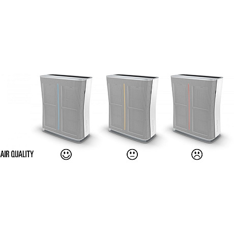 Stadler Form - Roger Vit